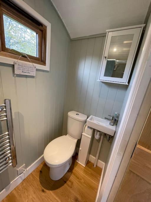 Forest View Shepherd Hut Ewhurst Exterior photo