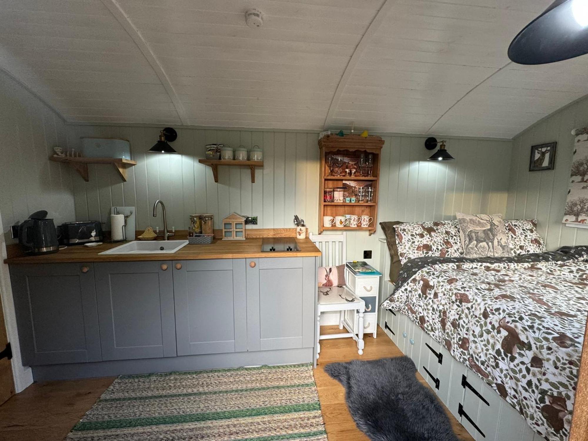 Forest View Shepherd Hut Ewhurst Exterior photo